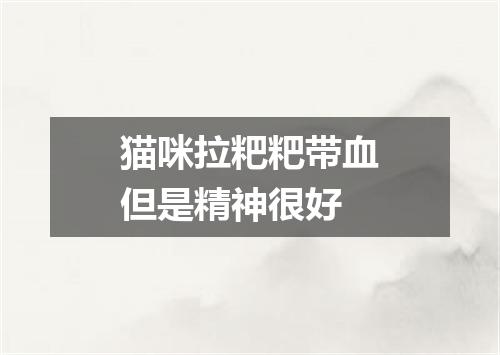 猫咪拉粑粑带血但是精神很好