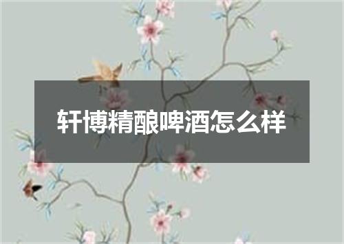 轩博精酿啤酒怎么样