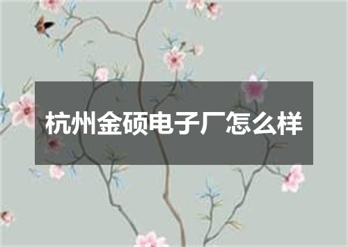 杭州金硕电子厂怎么样