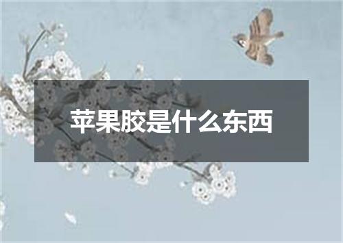 苹果胶是什么东西