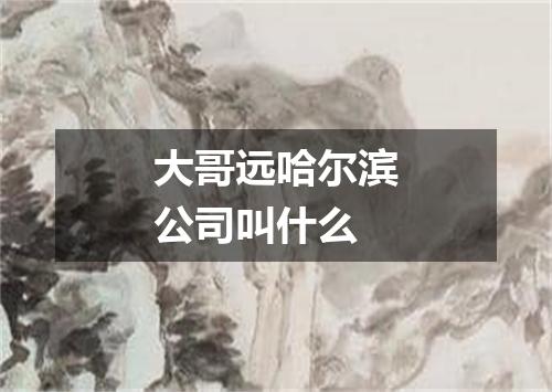 大哥远哈尔滨公司叫什么