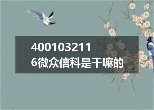 4001032116微众信科是干嘛的