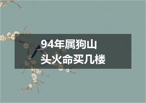 94年属狗山头火命买几楼