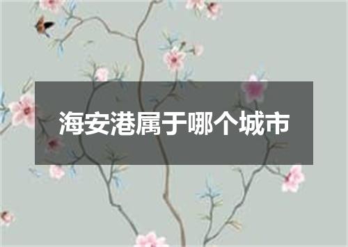 海安港属于哪个城市