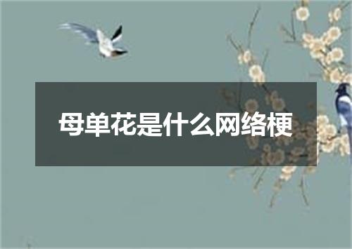 母单花是什么网络梗