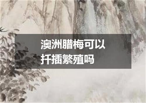 澳洲腊梅可以扦插繁殖吗