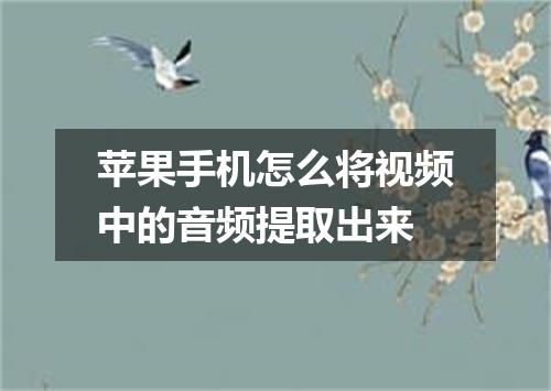 苹果手机怎么将视频中的音频提取出来