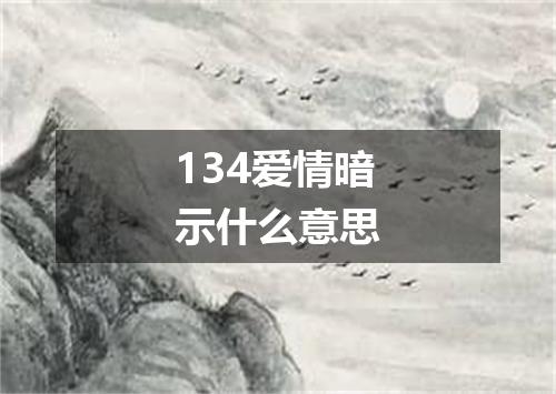 134爱情暗示什么意思