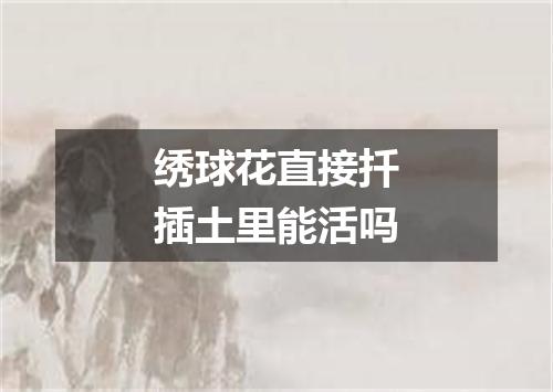 绣球花直接扦插土里能活吗