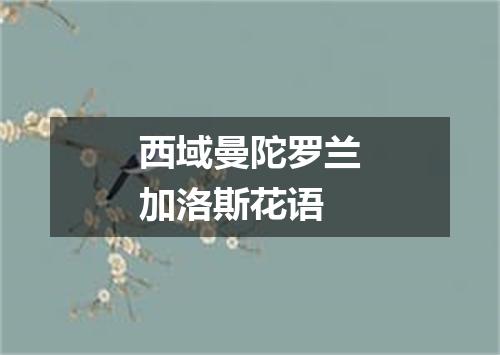 西域曼陀罗兰加洛斯花语