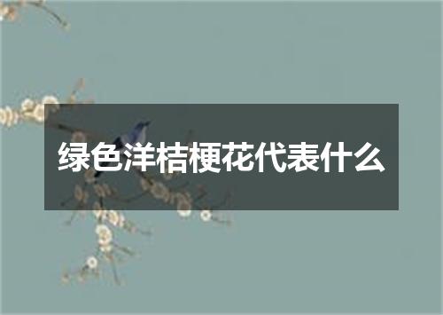 绿色洋桔梗花代表什么