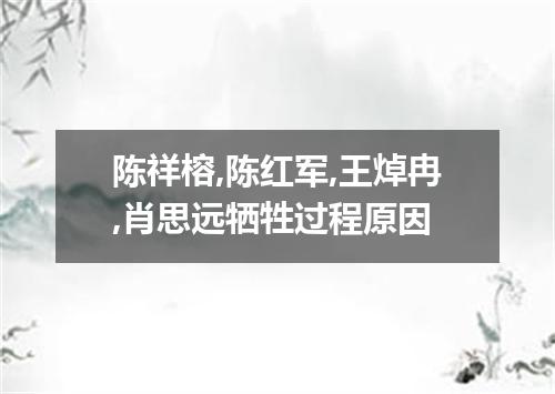 陈祥榕,陈红军,王焯冉,肖思远牺牲过程原因