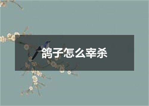 鸽子怎么宰杀