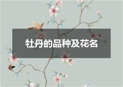 牡丹的品种及花名
