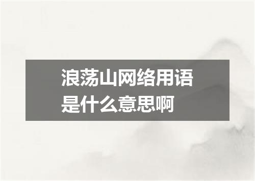 浪荡山网络用语是什么意思啊