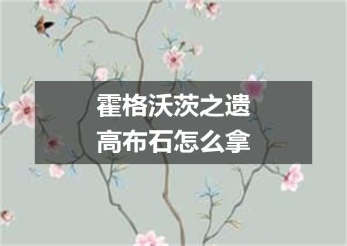 霍格沃茨之遗高布石怎么拿