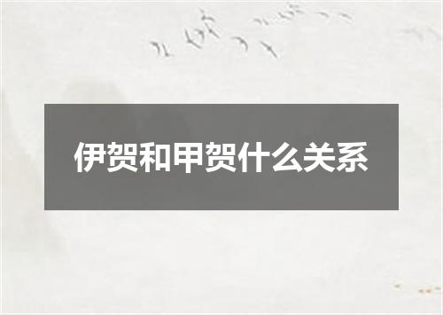 伊贺和甲贺什么关系