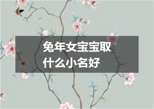 兔年女宝宝取什么小名好