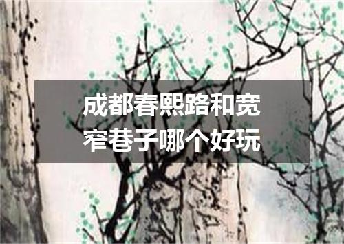 成都春熙路和宽窄巷子哪个好玩