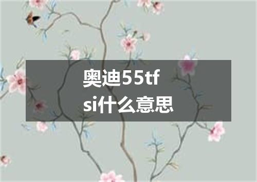 奥迪55tfsi什么意思