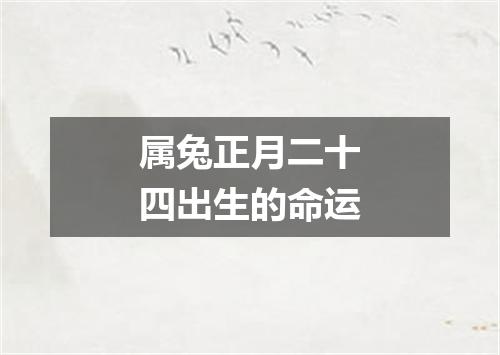 属兔正月二十四出生的命运