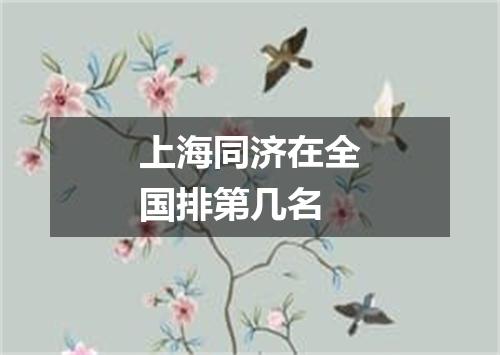 上海同济在全国排第几名