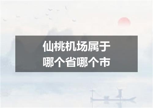 仙桃机场属于哪个省哪个市