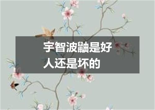 宇智波鼬是好人还是坏的