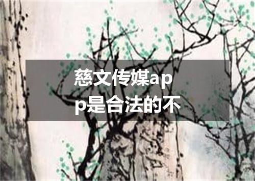 慈文传媒app是合法的不