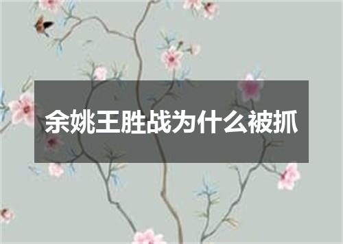 余姚王胜战为什么被抓