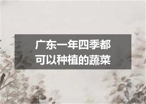广东一年四季都可以种植的蔬菜