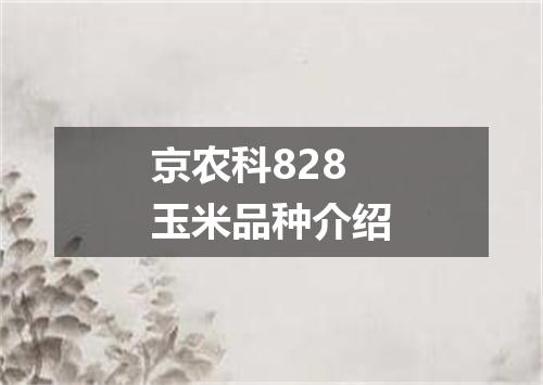 京农科828玉米品种介绍