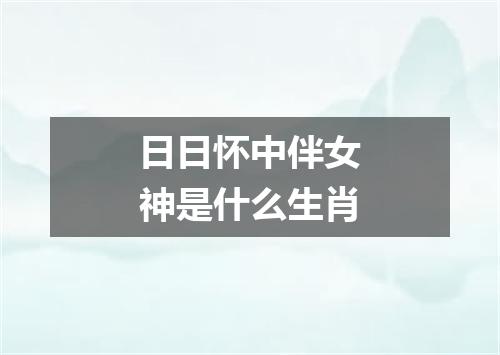 日日怀中伴女神是什么生肖