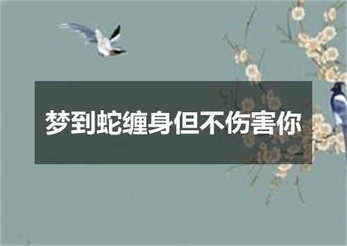 梦到蛇缠身但不伤害你
