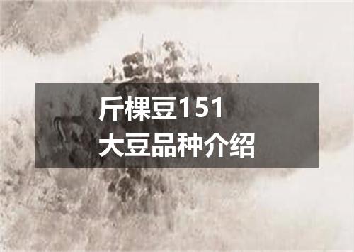 斤棵豆151大豆品种介绍