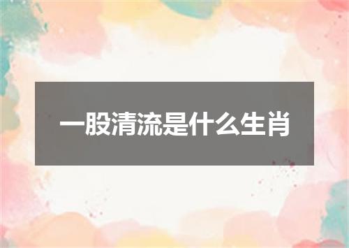 一股清流是什么生肖