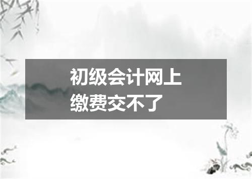 初级会计网上缴费交不了