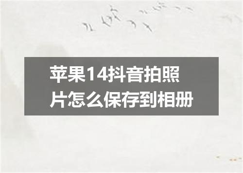 苹果14抖音拍照片怎么保存到相册