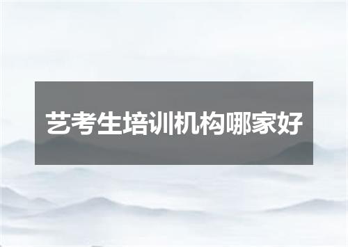 艺考生培训机构哪家好