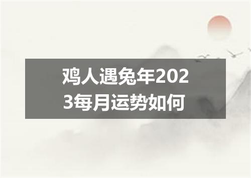 鸡人遇兔年2023每月运势如何