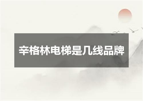 辛格林电梯是几线品牌