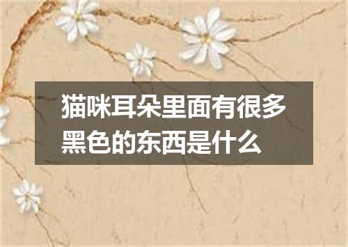 猫咪耳朵里面有很多黑色的东西是什么