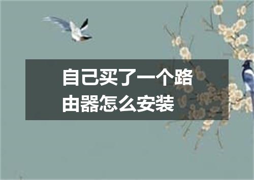 自己买了一个路由器怎么安装