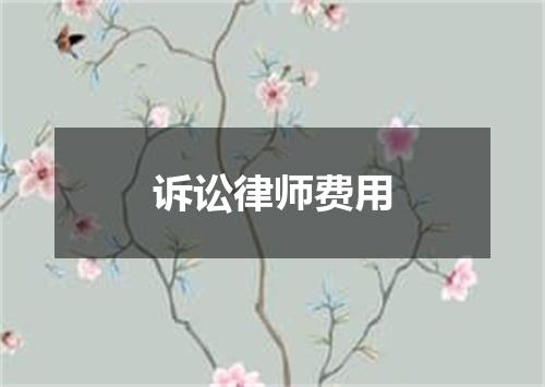 诉讼律师费用