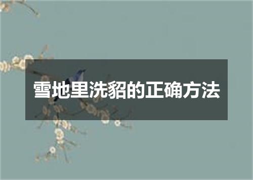 雪地里洗貂的正确方法