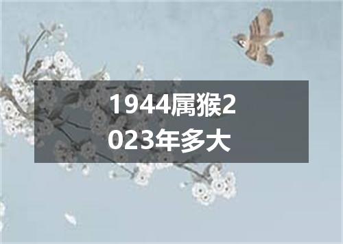 1944属猴2023年多大