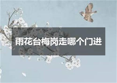雨花台梅岗走哪个门进