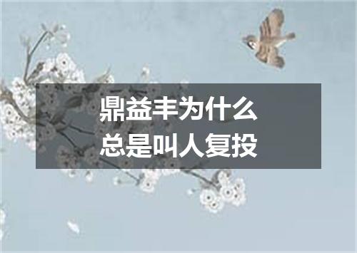 鼎益丰为什么总是叫人复投