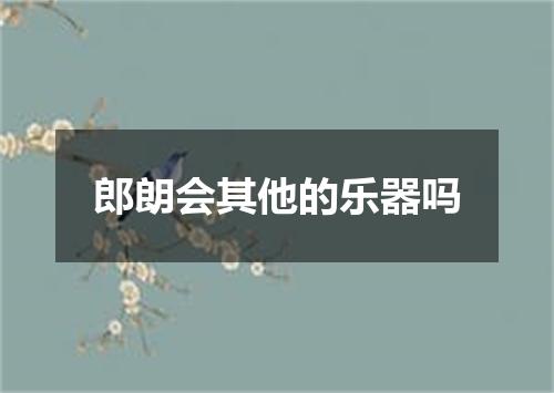 郎朗会其他的乐器吗