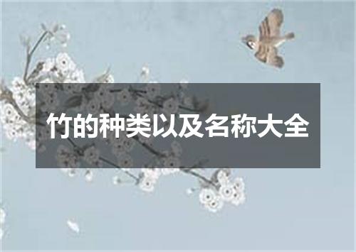 竹的种类以及名称大全